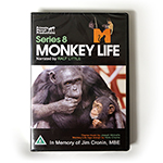 MONKEY LIFE SERIES 8.